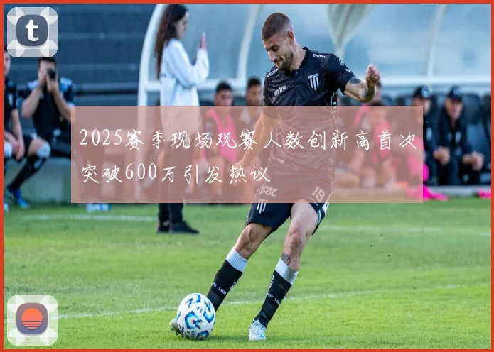 2025赛季现场观赛人数创新高首次突破600万引发热议