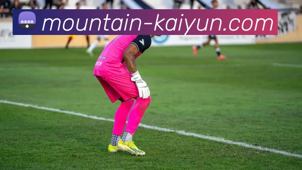 开云官网平台生态图